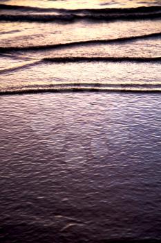 in thailand water south china sea  kho tao bay abstract of a   gold orange line