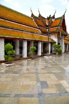 kho samui bangkok in thailand incision of the buddha gold    temple