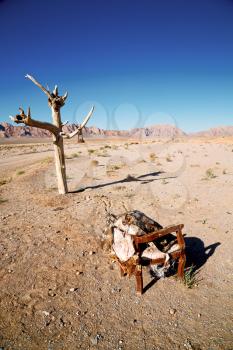 chair in iran blur old dead tree in the empty desert of persia lamp oil on branch