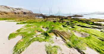 blur in south africa   sky ocean  de hoop reserve nature and rocks