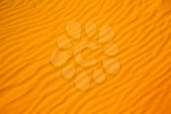 the brown sand dune   in the sahara morocco desert 