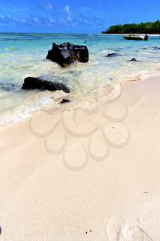 ile du cerfs seaweed in indian ocean mauritius mountain   sand isle  sky and rock