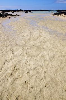 people water in lanzarote coastline  froth  spain pond  rock stone sky cloud beach   musk  and summer  
