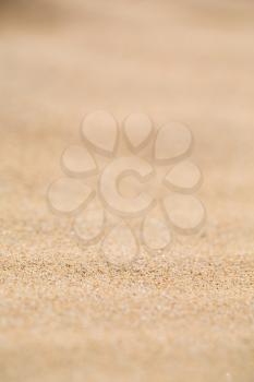 blur  in south africa close up of the coastline beach abstract sand texture background