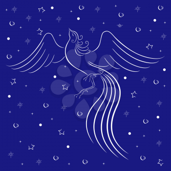 Graceful firebird white contour on blue background with many stars. Hand drawing vector illustration