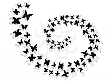 Spiral of black and gray flying butterflies, hand drawing vector work