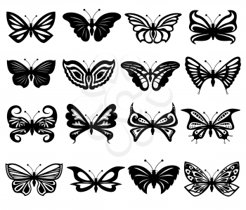 Set of sixteen different black and white beautiful butterflies. Hand drawing vector illustration