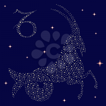 Zodiac sign Capricorn on a background of the starry sky, vector illustration