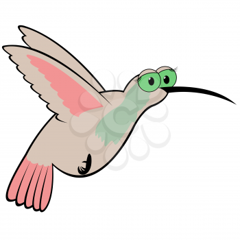 Hummingbird (Kolibri) isolated on white background. Hand drawing cartoon vector illustration