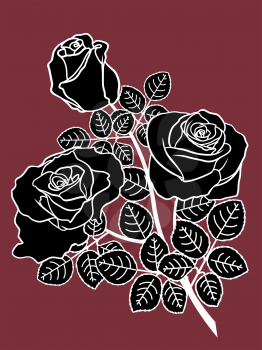 Black and white roses on the dark background. Hand drawing vector illustration