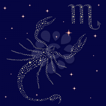 Zodiac sign Scorpio on a background of the starry sky, vector illustration