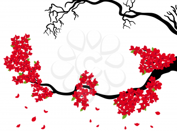 Blooming and dried Sakura branches (Japanese cherry tree) on the white background, hand drawing vector illustration