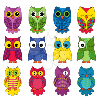 Set of sixteen colourful vector owls isolated on white background