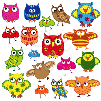 Set of eighty colourful vector owls isolated on white background