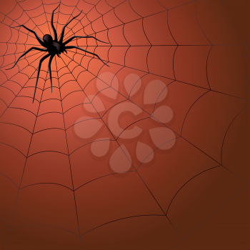 Big dark spider on the web, hand drawing Halloween vector illustration