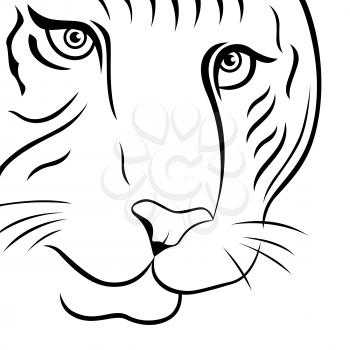 Part of funny tiger face, hand drawing vector outline isolated on a white background