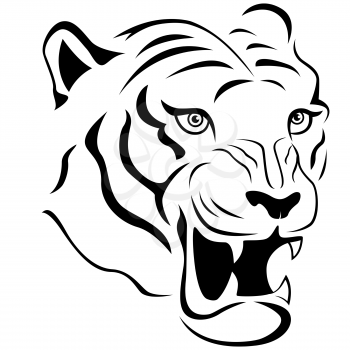 Aggressive tiger head close-up, hand drawing vector outline isolated on a white background
