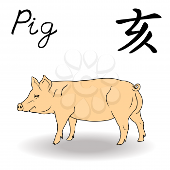 Eastern Zodiac Sign Pig, symbol of New Year in Chinese calendar, hand drawn vector artwork isolated on a white background