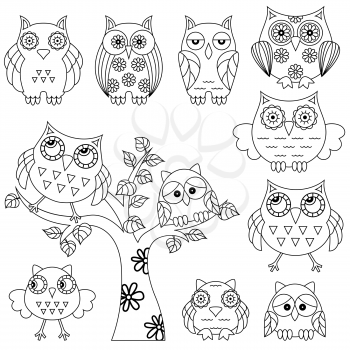Set of various ornamental owl and owls on the tree outlines isolated on the white background, cartoon vector childish illustration