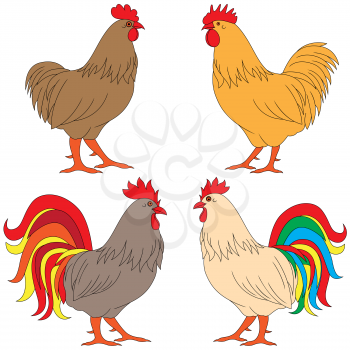 Set of four various multicolor roosters, vector illustrations isolated on the white background