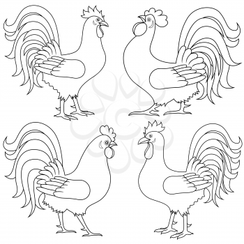 Set of four various rooster vector outlines isolated on the white background