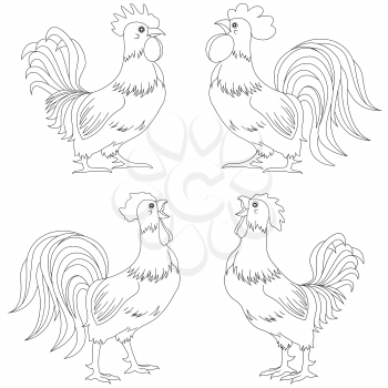 Set of four various funny rooster vector outlines isolated on the white background