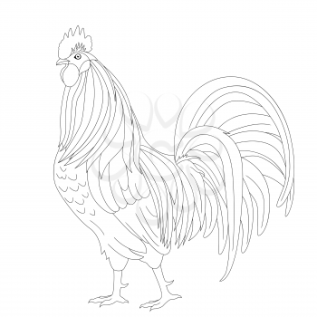 Proud rooster vector outline isolated on the white background