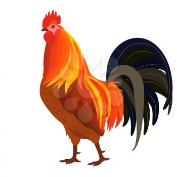 Proud Red Rooster with dark tail, vector illustrations isolated on the white background