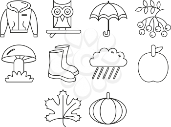 Collection of autumn season icon vector
