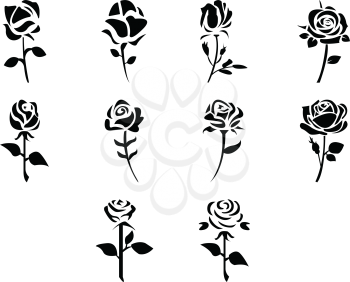 collection of rose icon vector