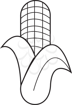 Simple thin line corn icon vector