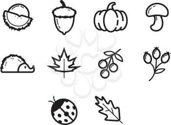 Collection of autumn season icon vector