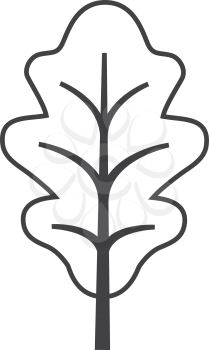 Simple thin line oak leaf icon vector