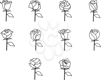 Collection of rose icon vector