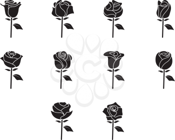 collection of rose icon vector
