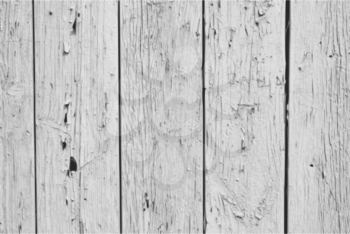 The  Vector Vintage  White Background Wood Wall