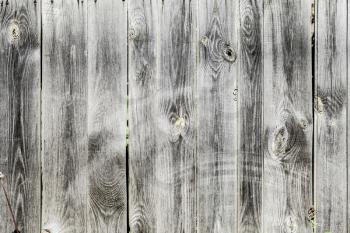 The Natural Dark Wooden Background. Timber wall
