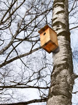 Bird house hanging on the trunk of a birch. Beginning of winter