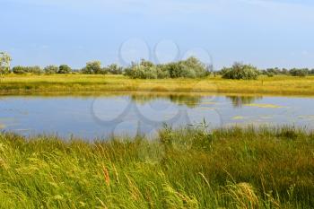 Salt lake near the sea. Kinburn Spit near the town Ochakiv, Ukraine
