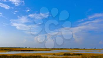 Overgrown salt lake near the sea. Nesting sites of dozens of bird species. Kinburn Spit near the town Ochakiv, Ukraine