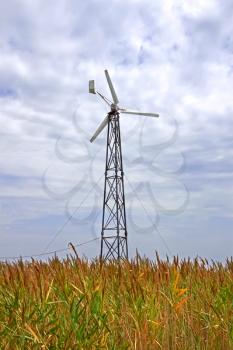 Turbines among high reed against the background of cloudy sky. Near Skadovsk, Ukraine