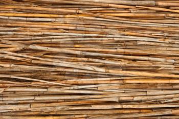 Detail of reed fence as a texture