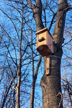 Bird house hanging on the trunk of a tree. Beginning of winter