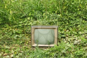 Old outmoded TV set in an environment of various green plants. Ecology concept