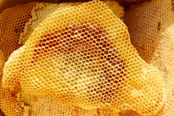 Heap of honeycomb pieces in bright sunlight