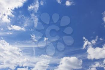 Light clouds of various types on the background of a blue sky