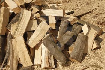 Heap of chopped hornbeam firewood over sawdust in bright sunlight