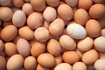 Big pile of randomly stacked raw chicken eggs