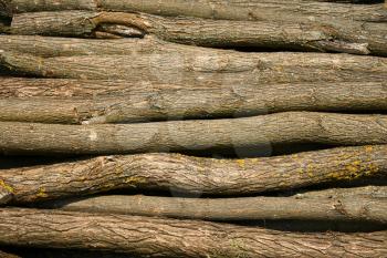 Heap of long wooden logs stacked horizontally close-up