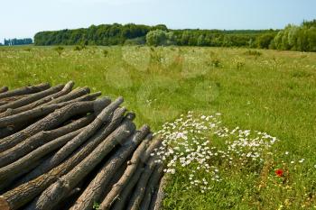 Pile of wooden logs stacked on the meadow among the motley grass near the forest in summer